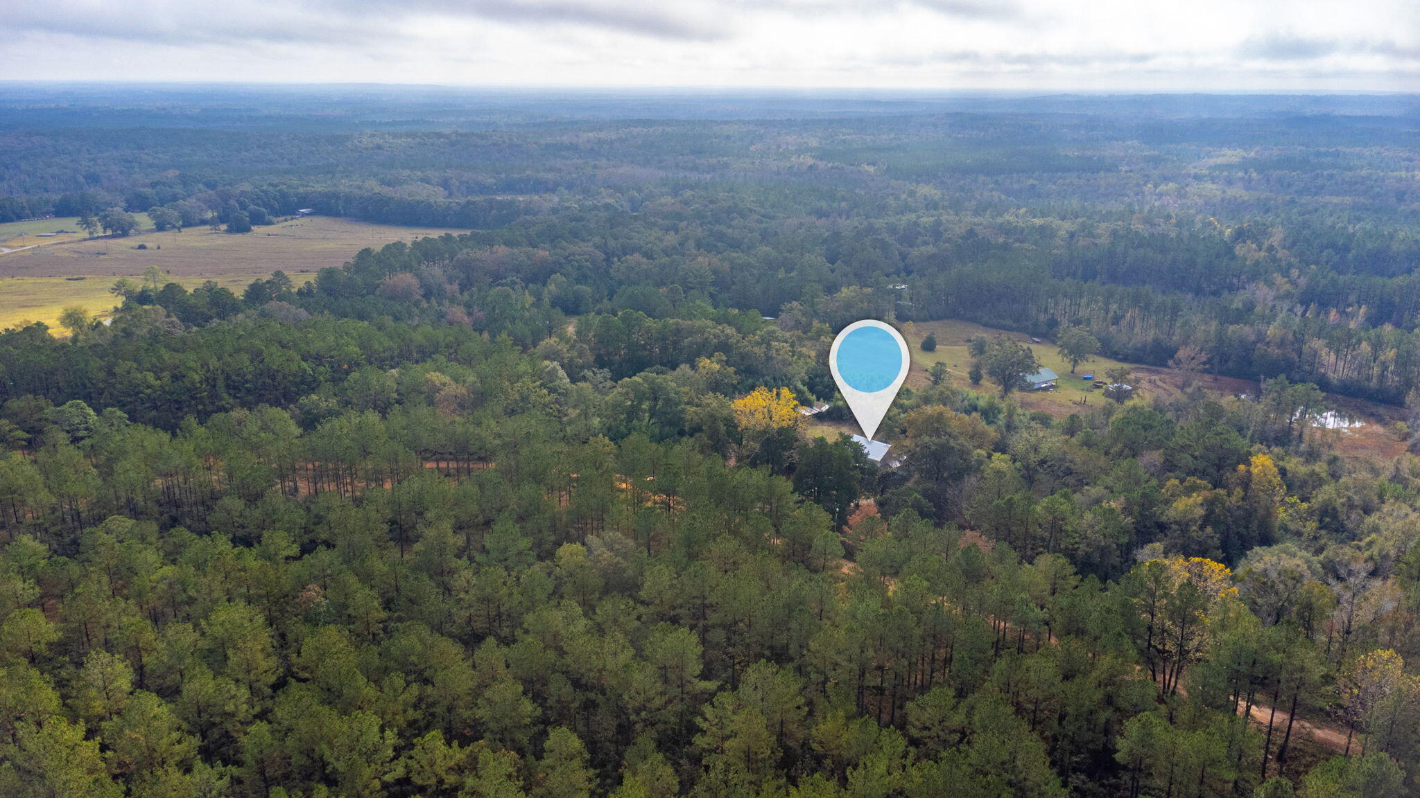 1390 Baker Manning Loop Ponce de Leon, FL 32455 - Photo 39 of 49 a view of a city