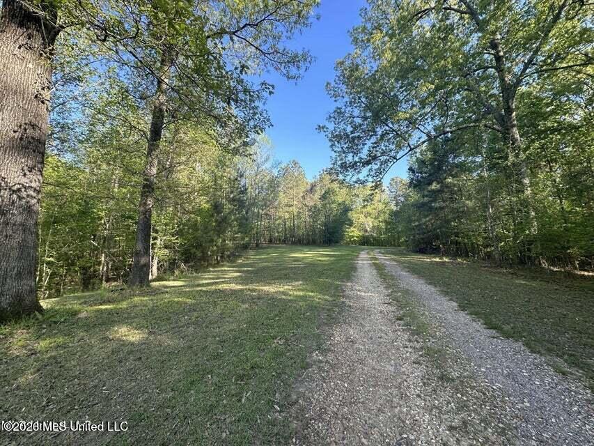 1660 Askew Road Edwards, MS 39066 - Photo 11 of 19 Askew 10