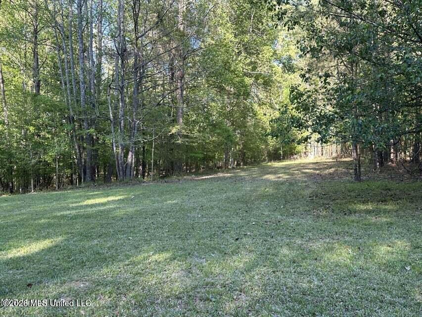 1660 Askew Road Edwards, MS 39066 - Photo 12 of 19 Askew 11