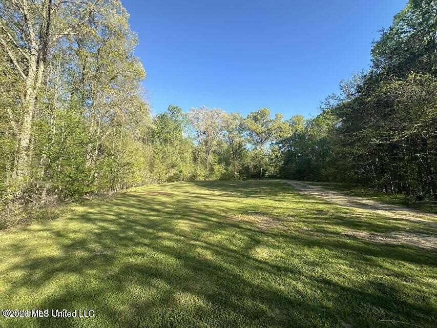 1660 Askew Road Edwards, MS 39066 - Photo 13 of 19 Askew 12