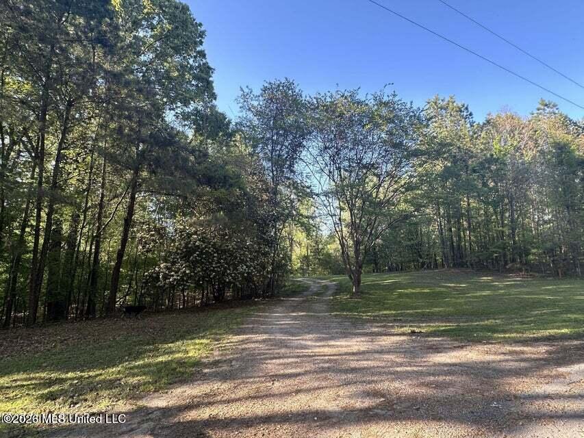 1660 Askew Road Edwards, MS 39066 - Photo 15 of 19 Askew 14