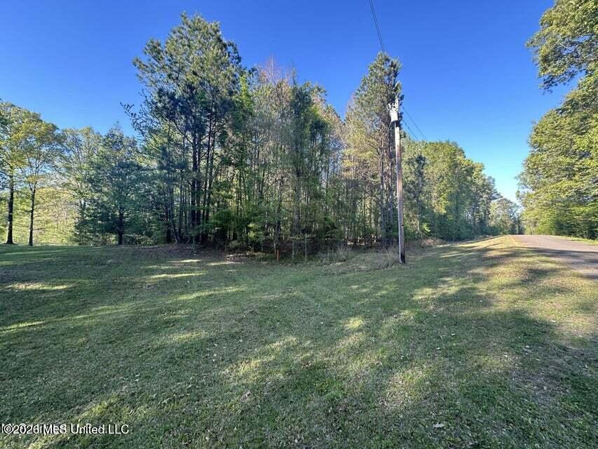 1660 Askew Road Edwards, MS 39066 - Photo 16 of 19 Askew 15