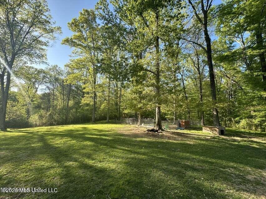 1660 Askew Road Edwards, MS 39066 - Photo 17 of 19 Askew 16