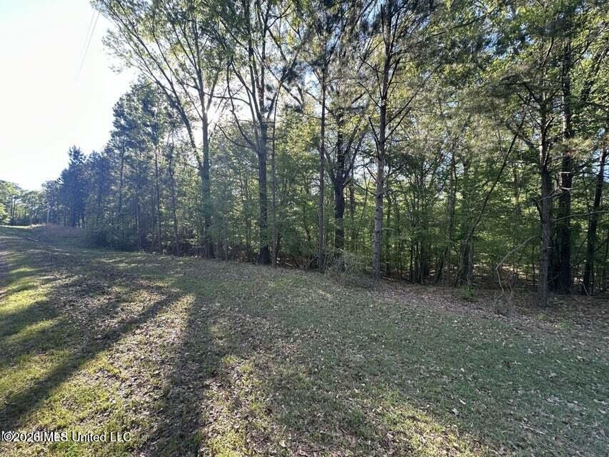 1660 Askew Road Edwards, MS 39066 - Photo 18 of 19 Askew 17