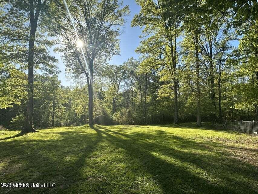 1660 Askew Road Edwards, MS 39066 - Photo 19 of 19 Askew 18