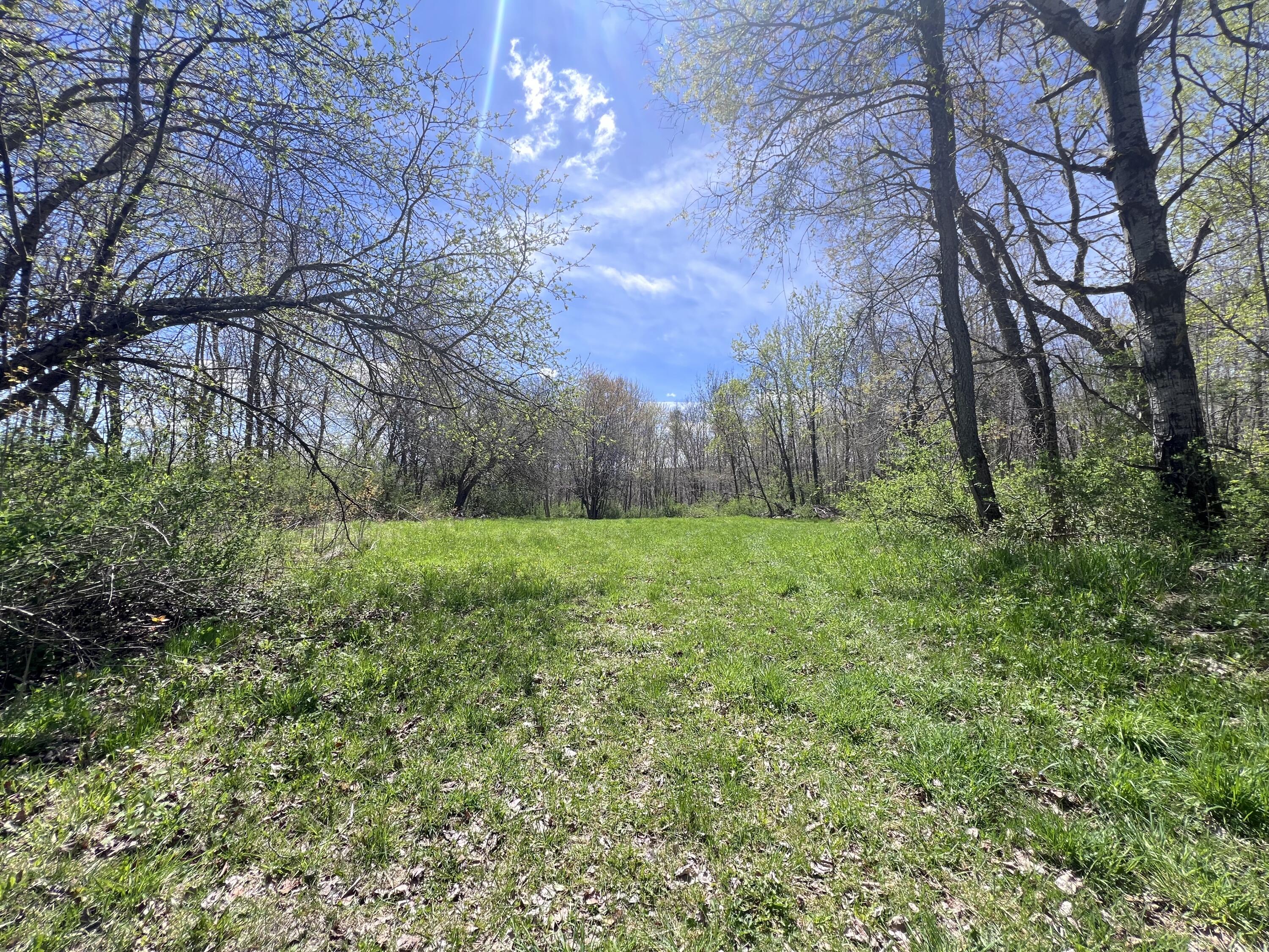 Lot 16 North Chester Road Lincoln, ME 04457 - Photo 1 of 18 IMG_0626
