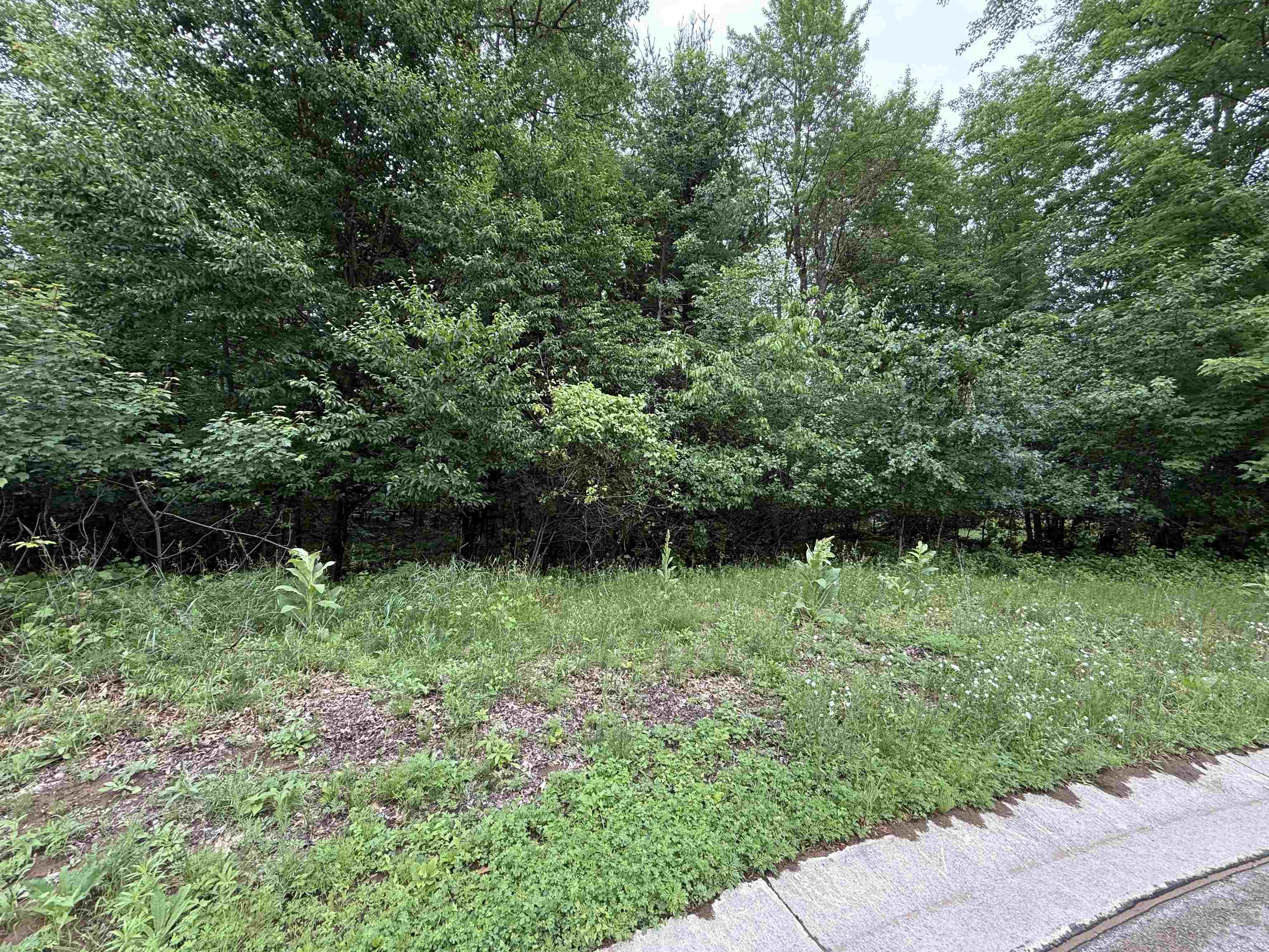 Fir Court, Unit 22 Oconto, WI 54153 - Photo 3 of 13
