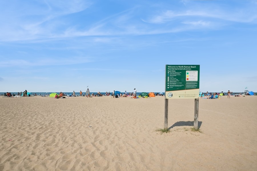 1310 North Ritchie Court, Unit 27B Chicago, IL 60610 - Photo 30 of 31 a view of an ocean beach