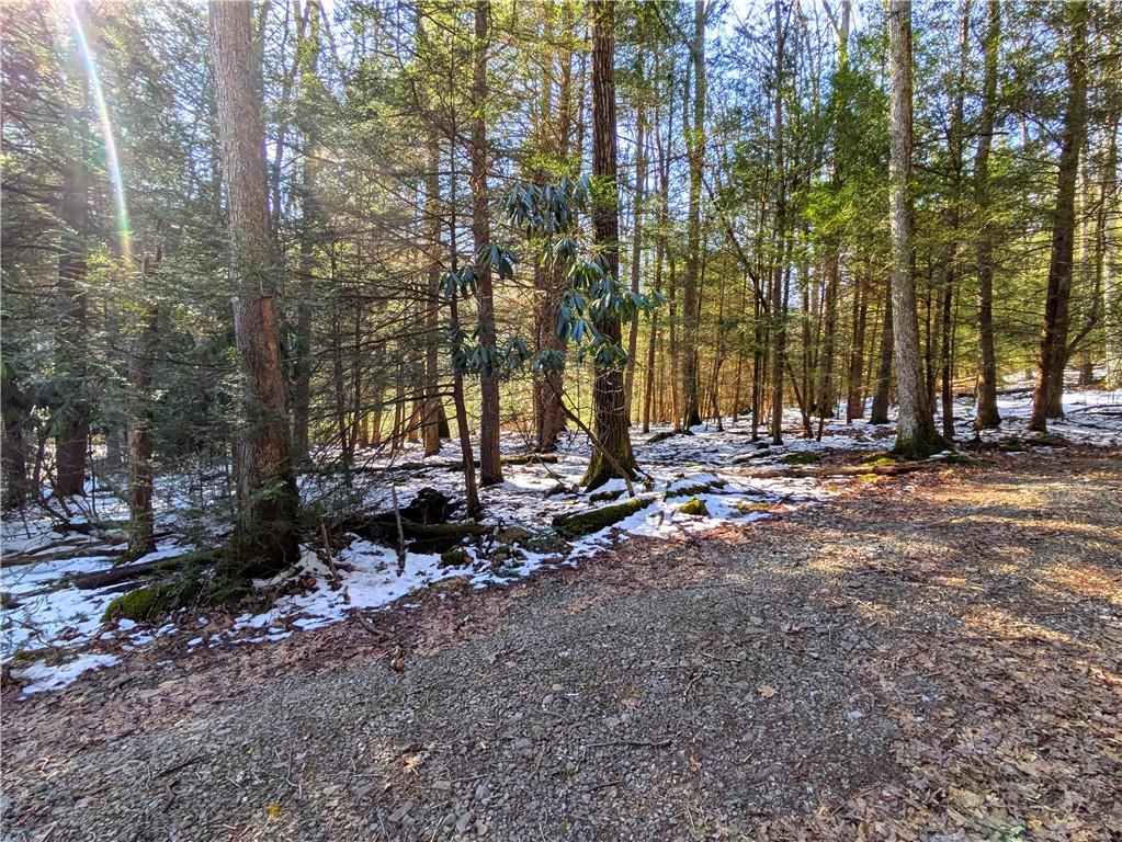 160 Mill Run School Road Farmington, PA 15437 - Photo 4 of 21