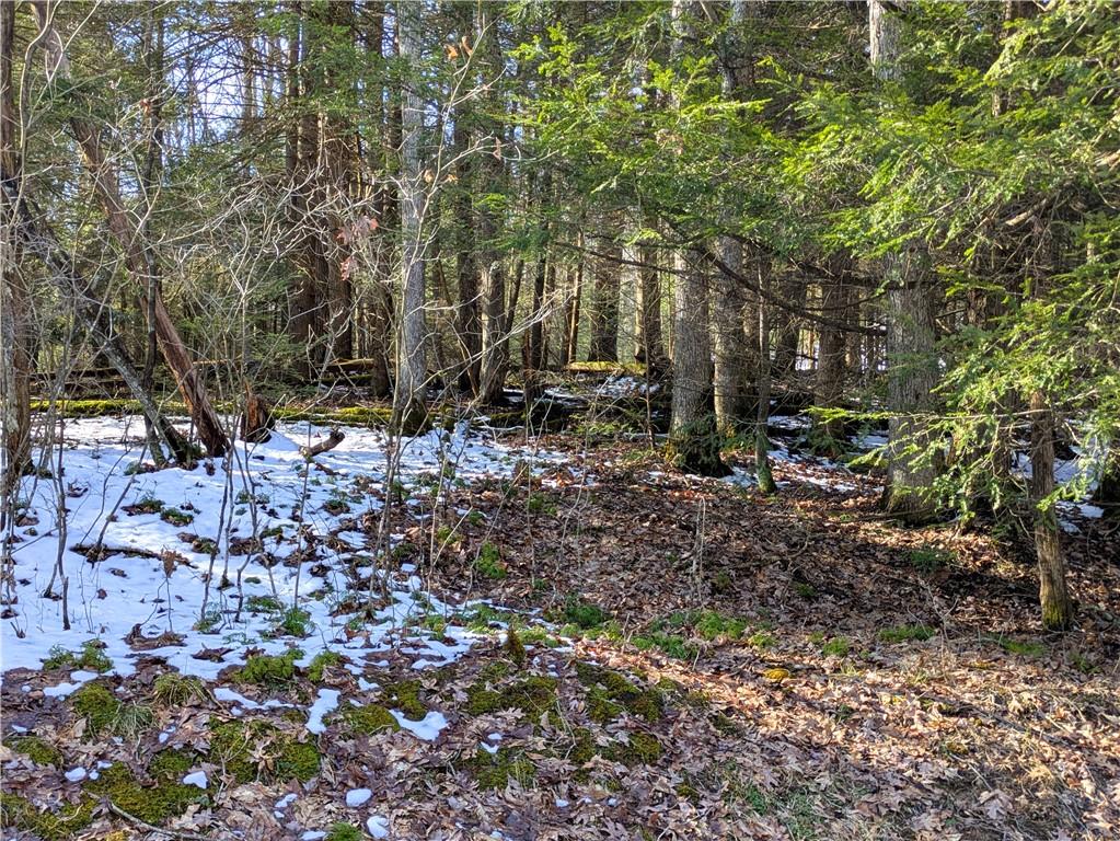160 Mill Run School Road Farmington, PA 15437 - Photo 5 of 21