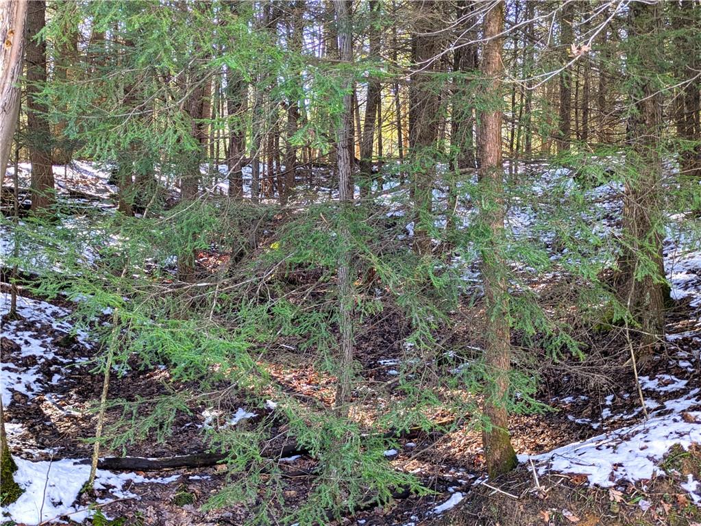 160 Mill Run School Road Farmington, PA 15437 - Photo 6 of 21
