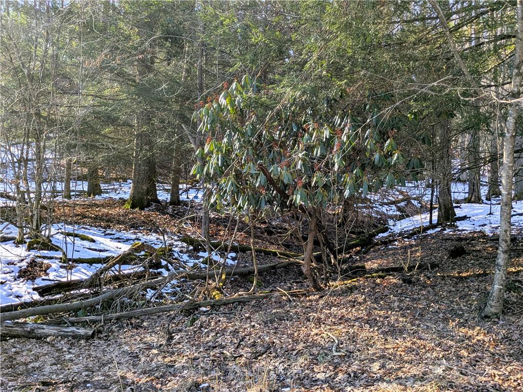 160 Mill Run School Road Farmington, PA 15437 - Photo 10 of 21