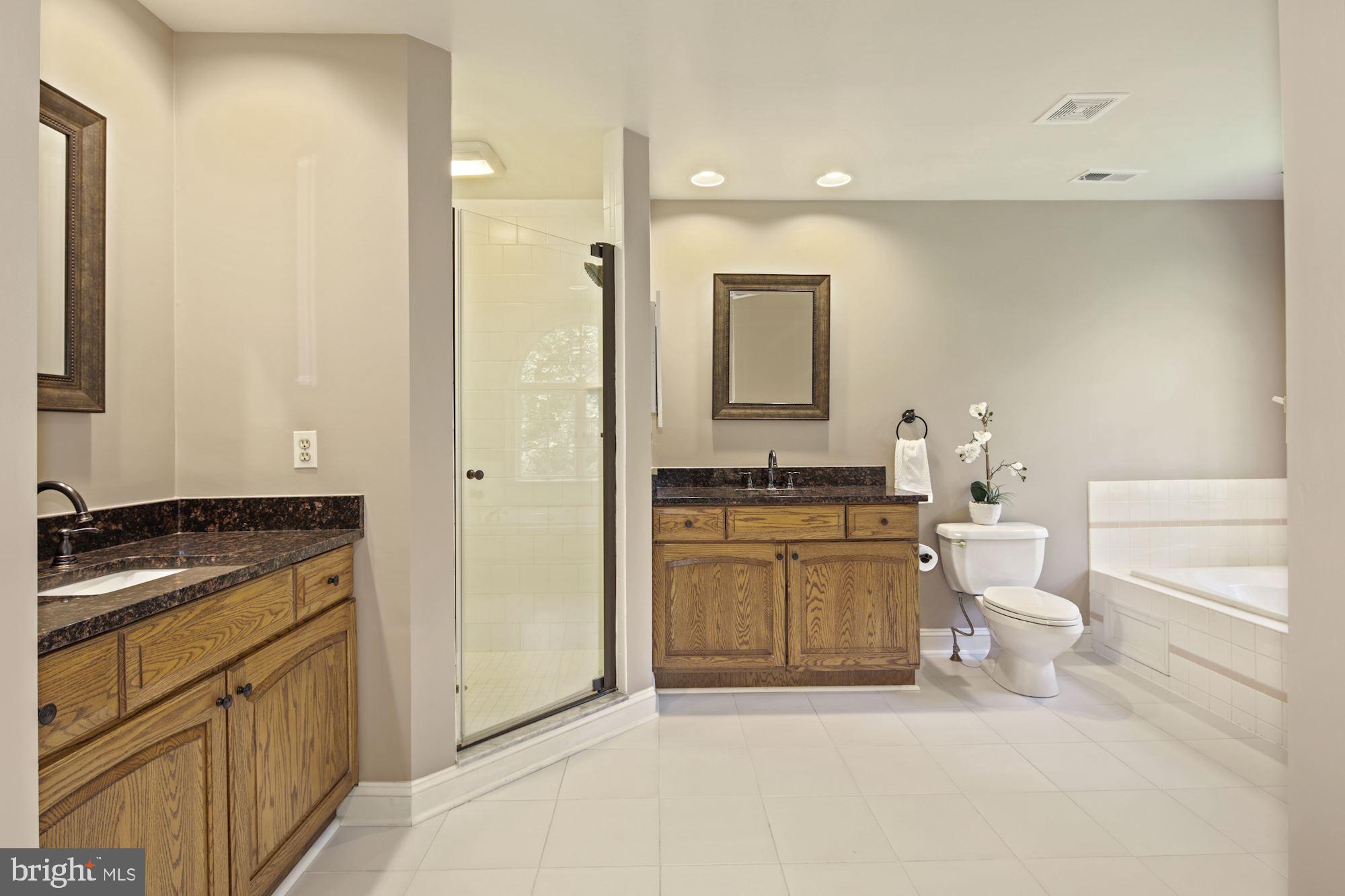 14410 Katie Road Phoenix, MD 21131 - Photo 31 of 50 Master Spa Bath w/Granite Counters & Uptd Shower!
