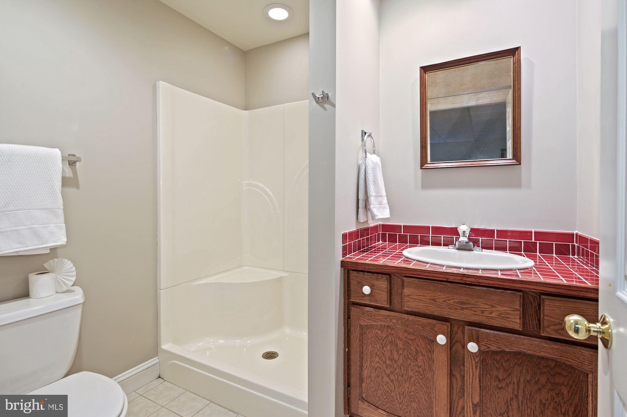 14410 Katie Road Phoenix, MD 21131 - Photo 44 of 50 Lower Level Full Bath w/Comfort Height Vanity