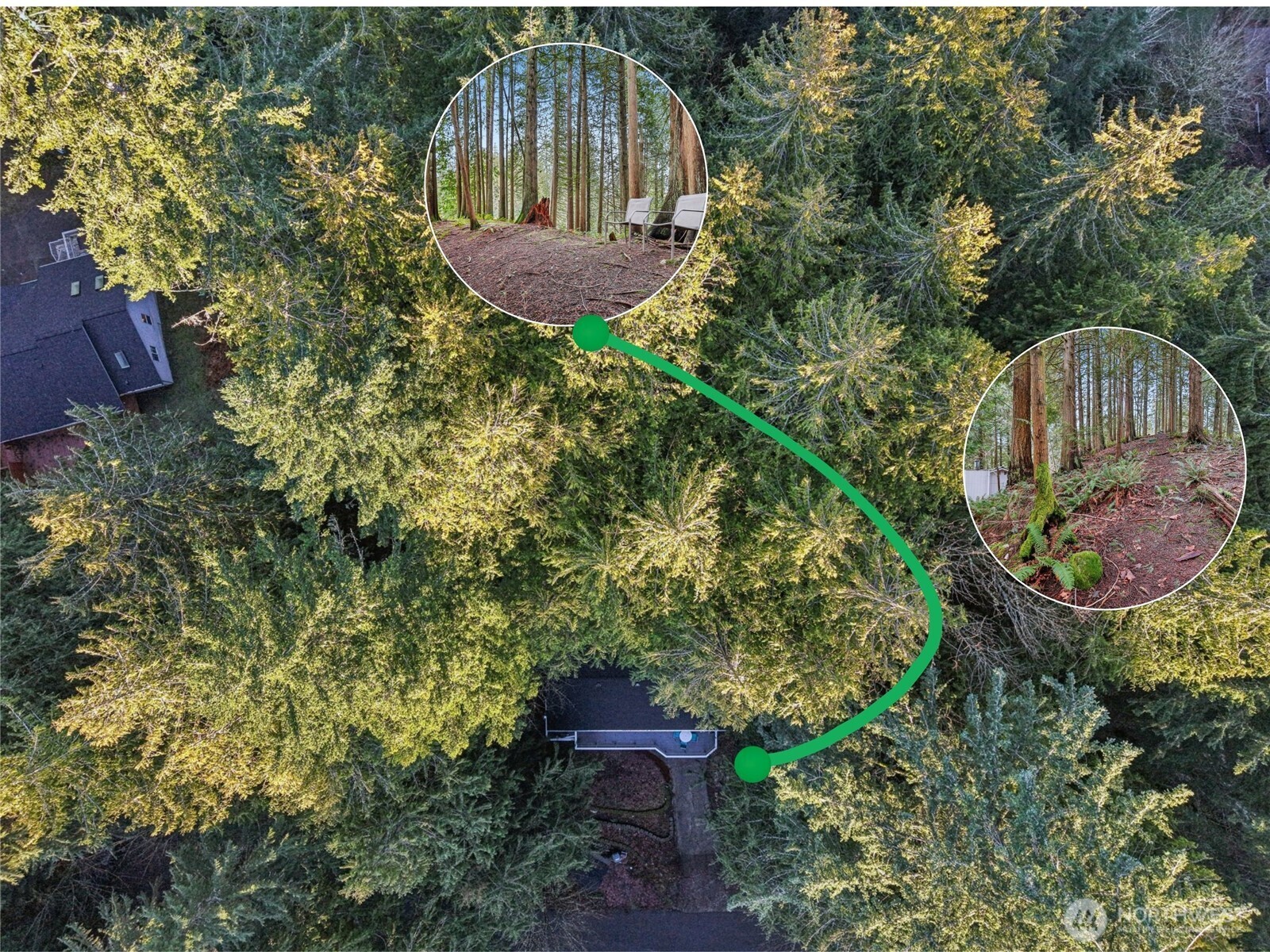 29 Maple Court Bellingham, WA 98229 - Photo 35 of 39 a view of a bird of a house