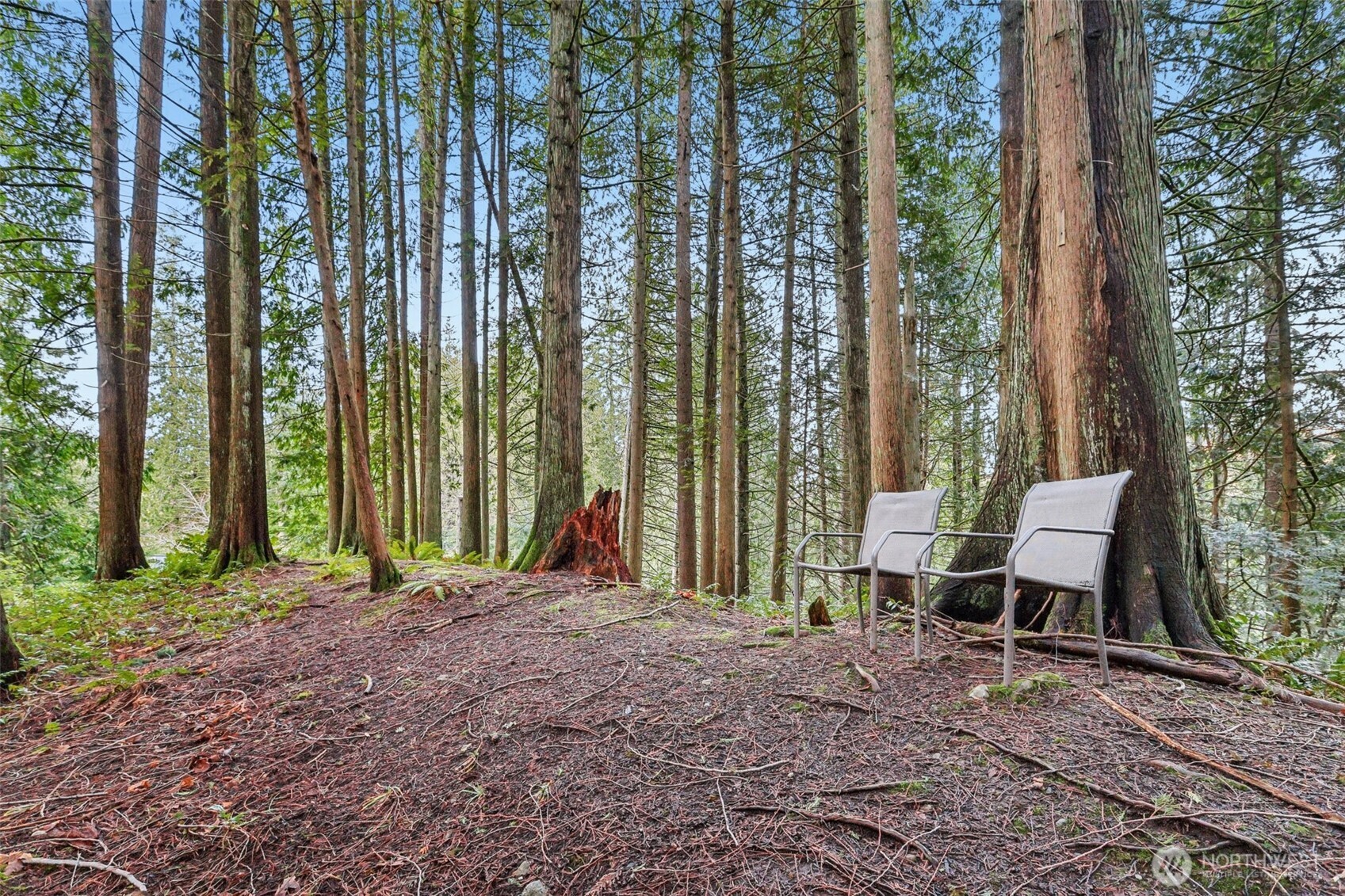 29 Maple Court Bellingham, WA 98229 - Photo 36 of 39 a view of outdoor space with sink and yard