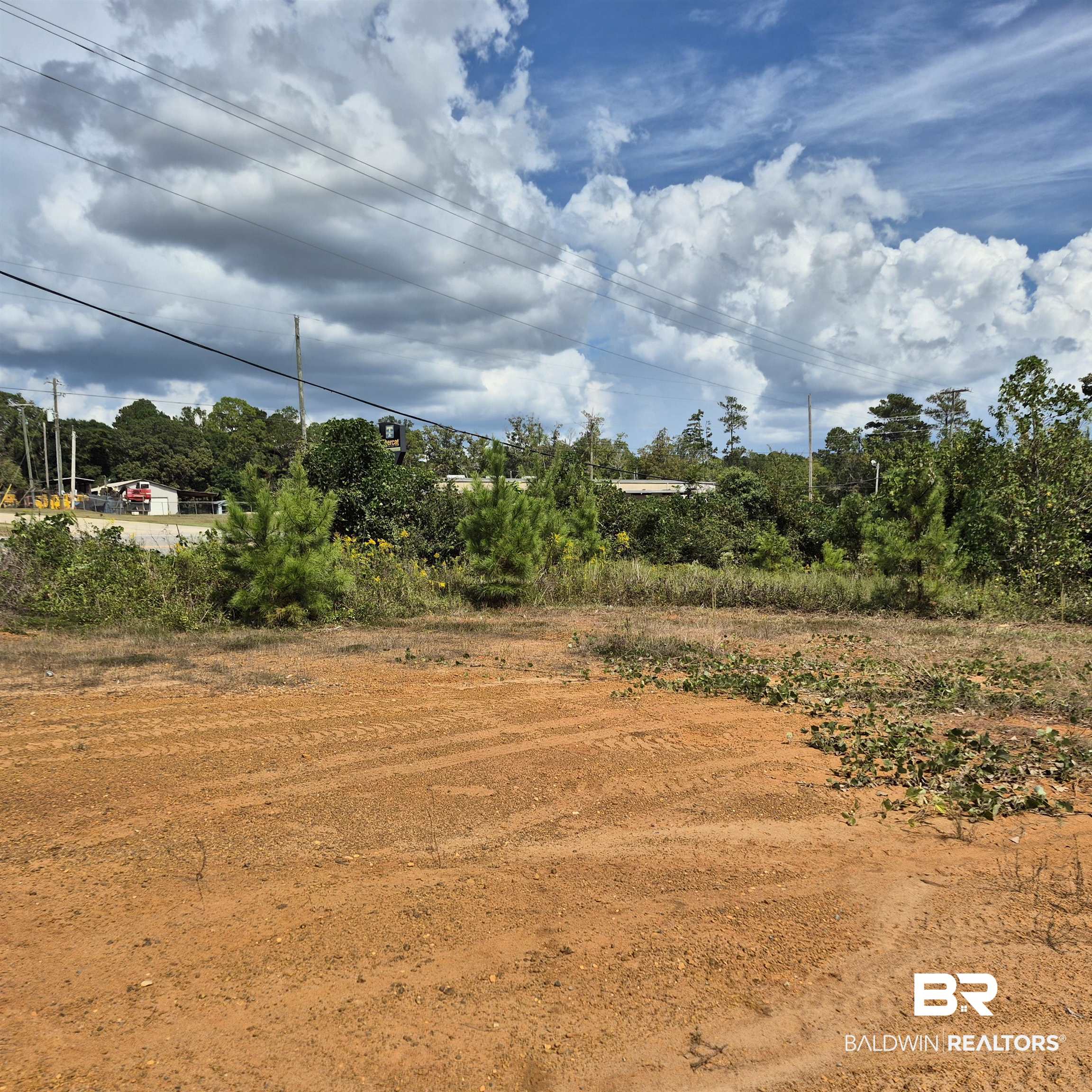 0 West Front Street Evergreen, AL 36401 - Photo 2 of 6 View of nature