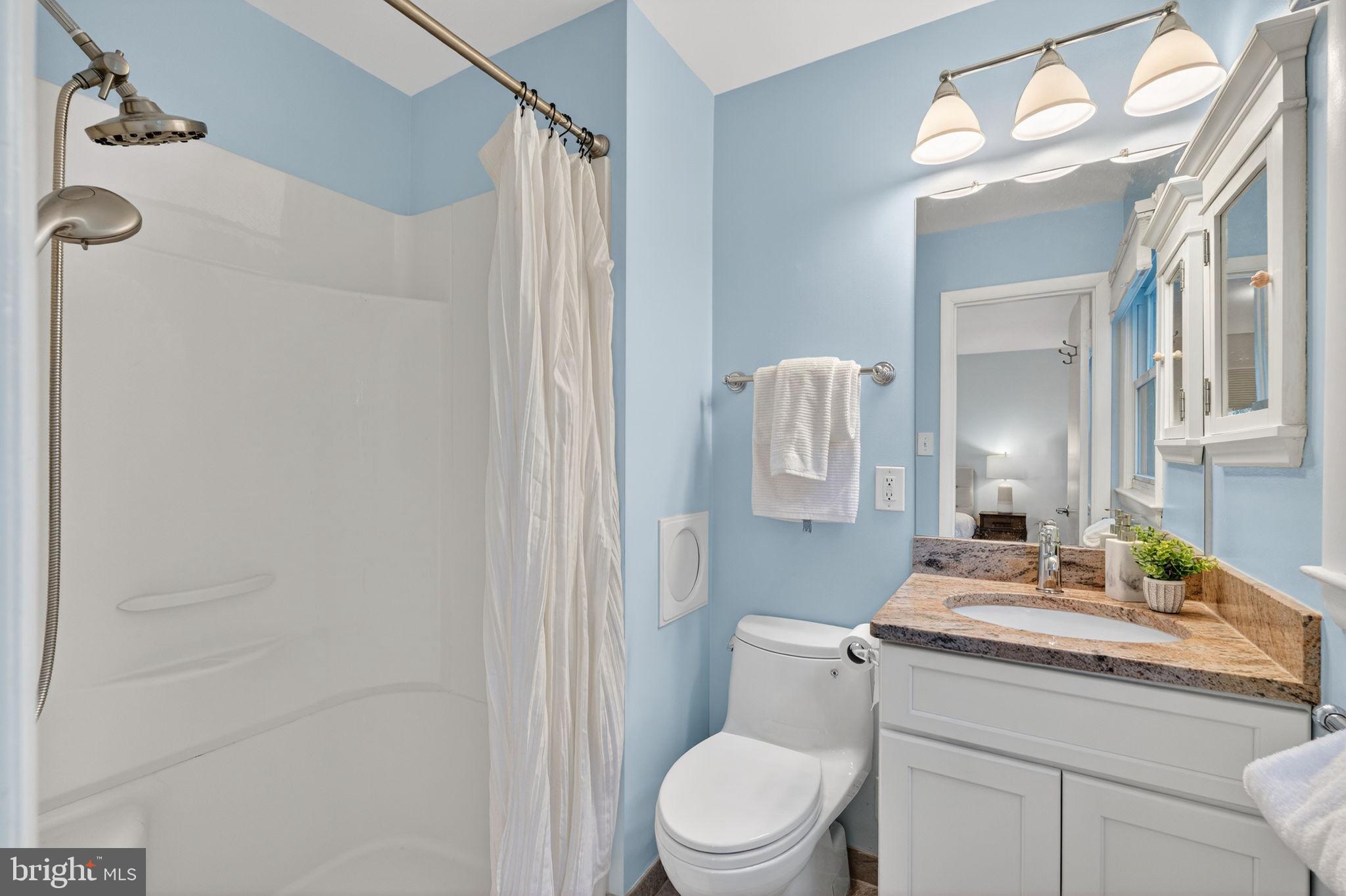 6424 Cabell Court Springfield, VA 22150 - Photo 20 of 43 Primary Bathroom