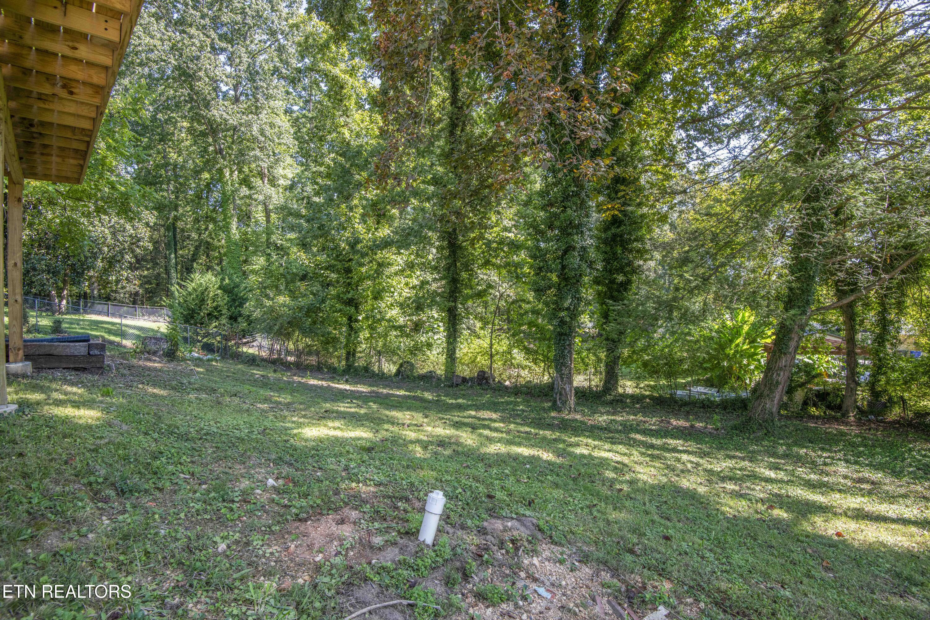 304 Firestone Road Oak Ridge, TN 37830 - Photo 13 of 50 yard