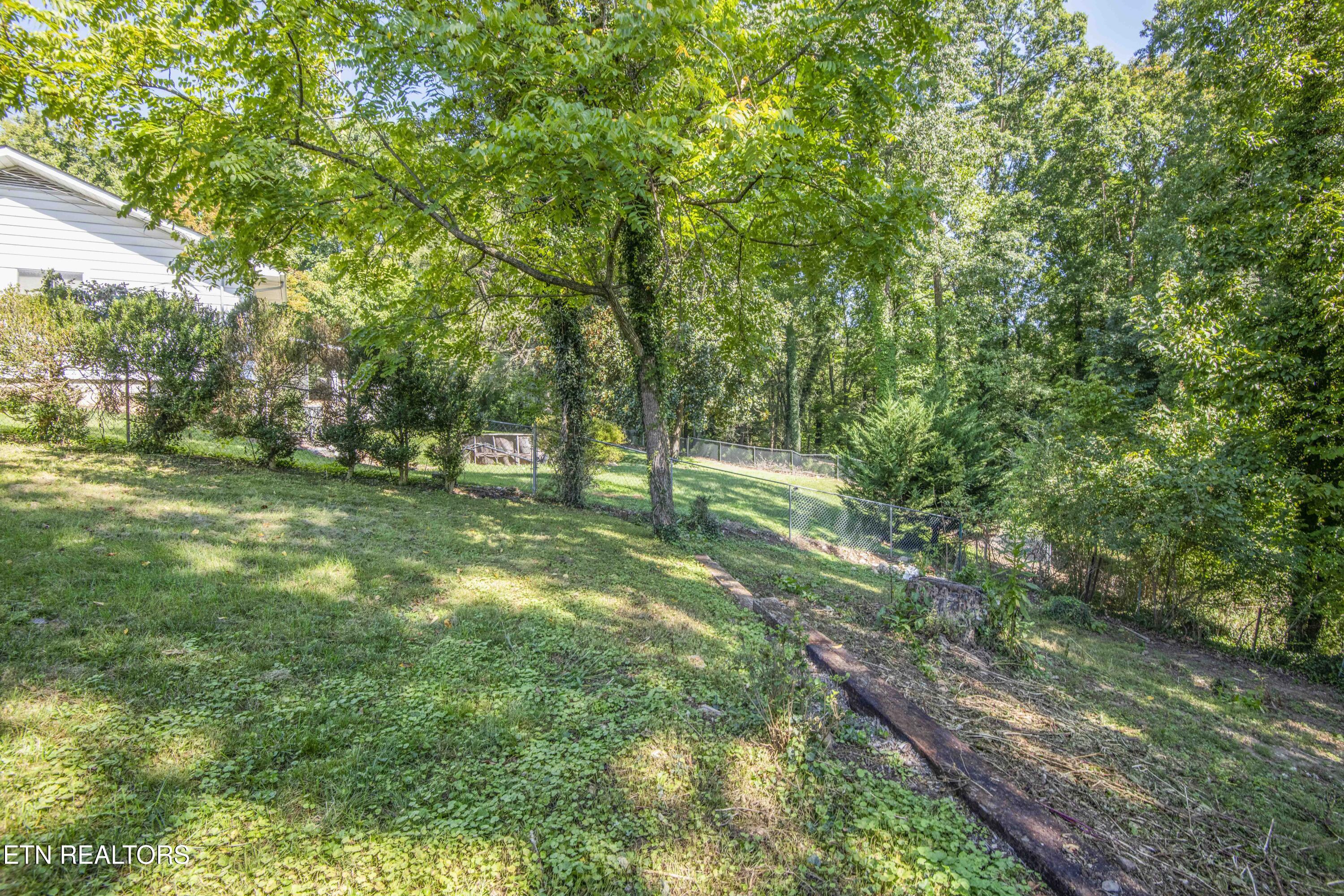 304 Firestone Road Oak Ridge, TN 37830 - Photo 16 of 50 yard