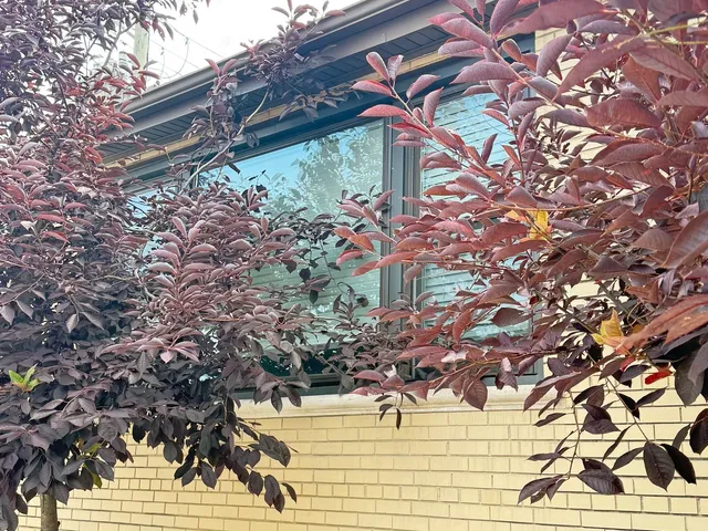 a backyard of a house with lots of green space