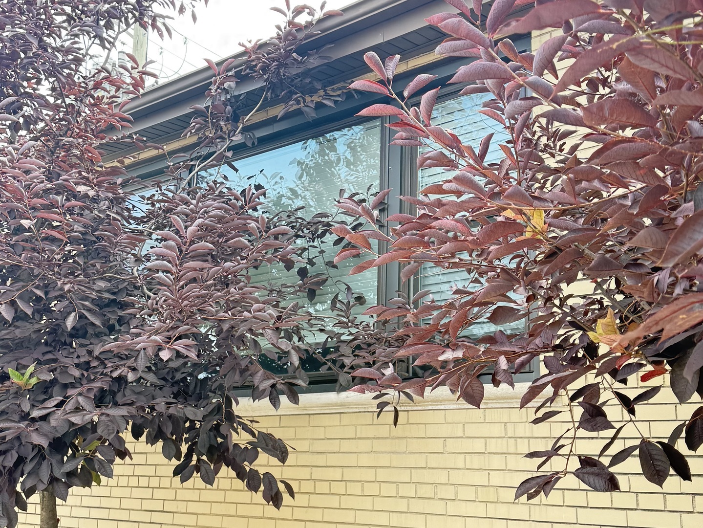 4201 West 55th Street, Unit 1 Chicago, IL 60632 - Photo 1 of 9