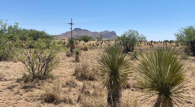Tbd Upper Elgin Road, Unit 1 Elgin, AZ 85611 - Photo 14 of 16