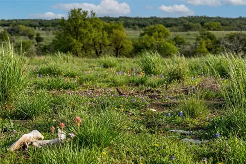 $950,000 | Lot 20 Gracewood Way, Dripping Springs, TX 78620