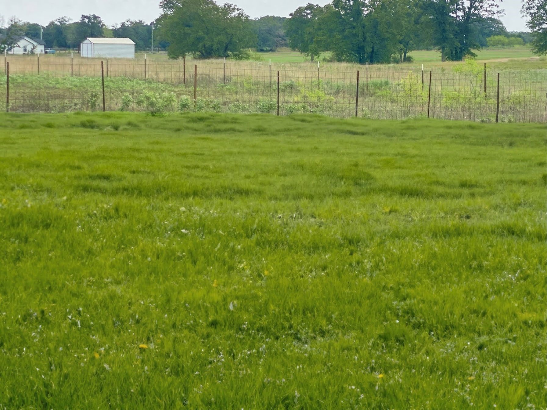 142 Zimmerhanzel Road Flatonia, TX 78941 - Photo 6 of 19 a view of a park with a fence