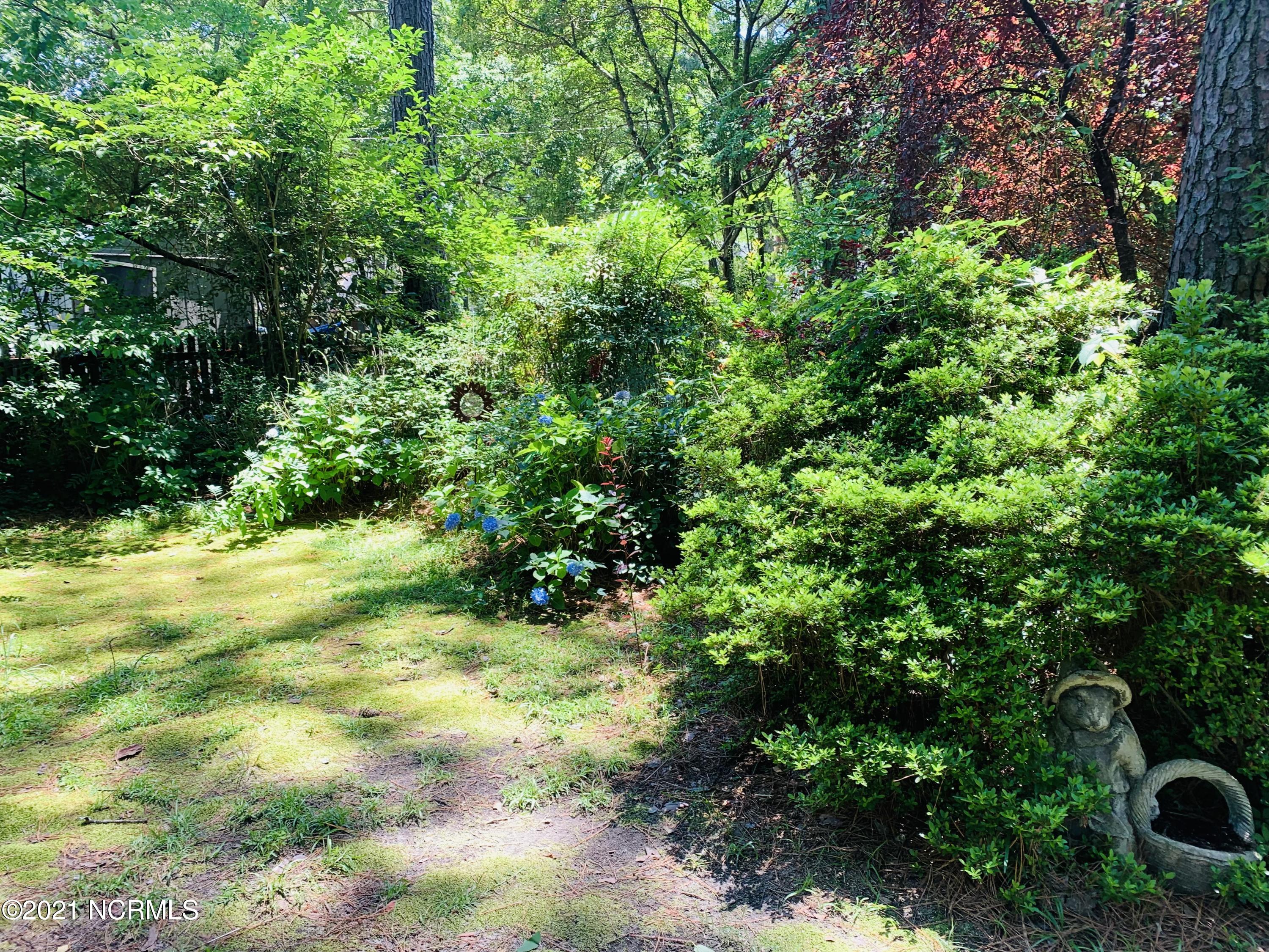 303 Canterbury Road Northwest Wilson, NC 27896 - Photo 20 of 22 Backyard