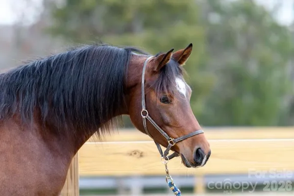 $1,800,000 | 6207 Victory Pass Lane, Waxhaw, NC 28173