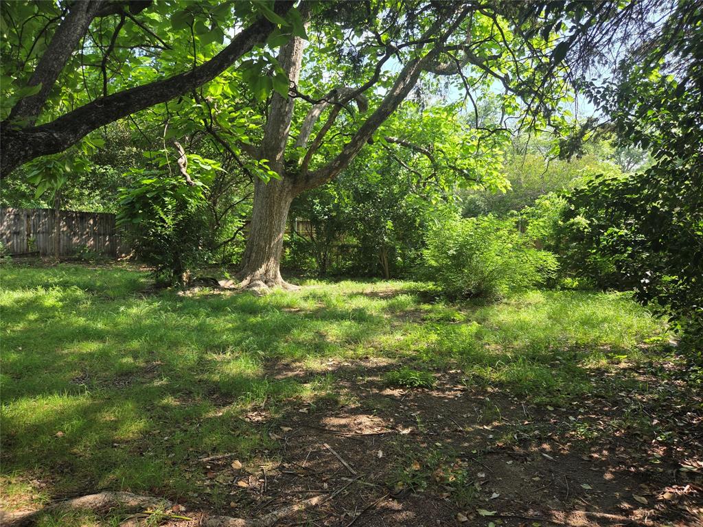 2108 Blake Avenue Dallas, TX 75228 - Photo 13 of 13 Several trees in backyard