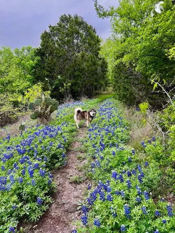 $2,200 | 10629 Sunday Drive, Austin, TX 78747
