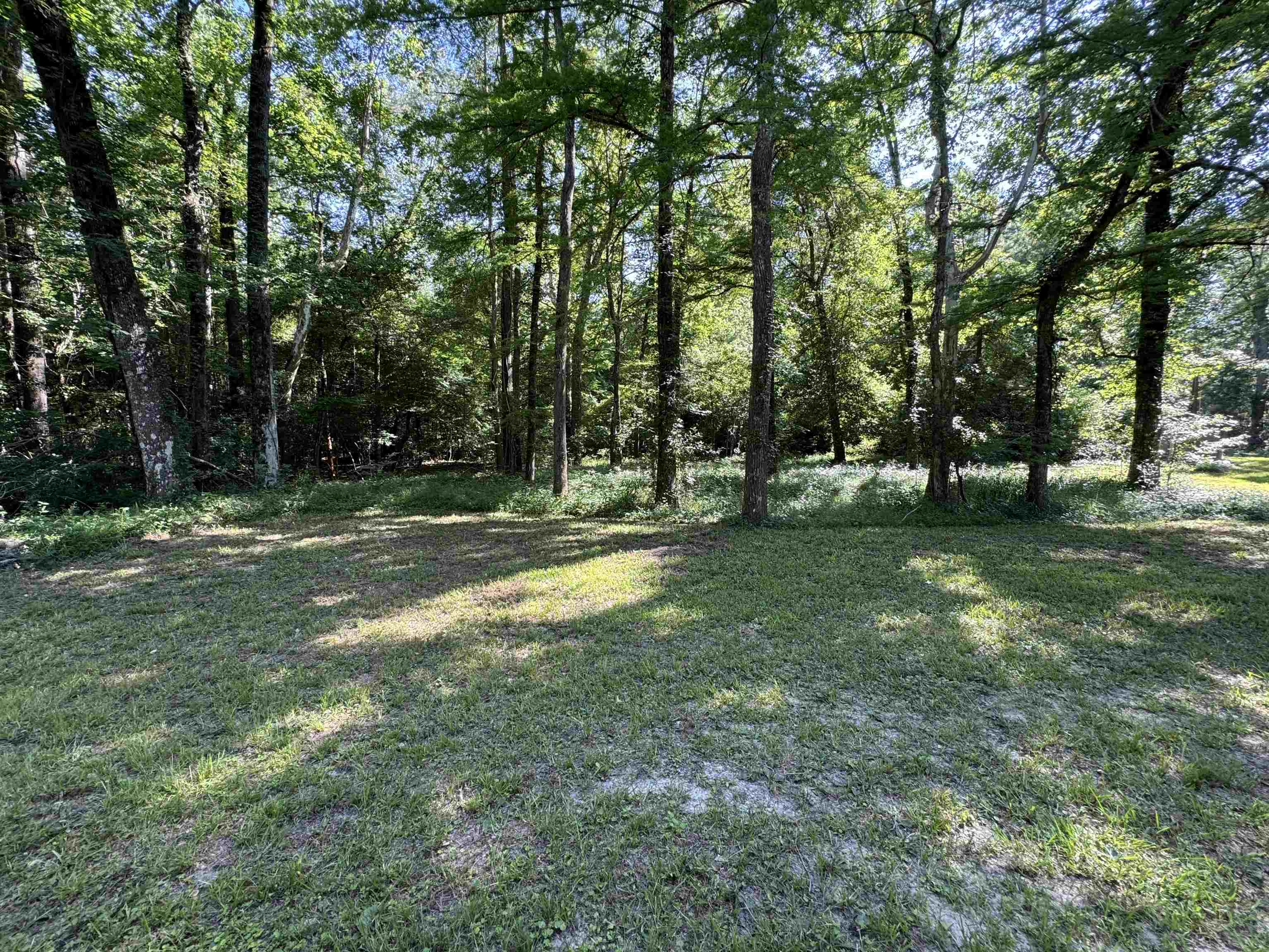 4011 C R 3775 Colmesneil, TX 75938 - Photo 14 of 40