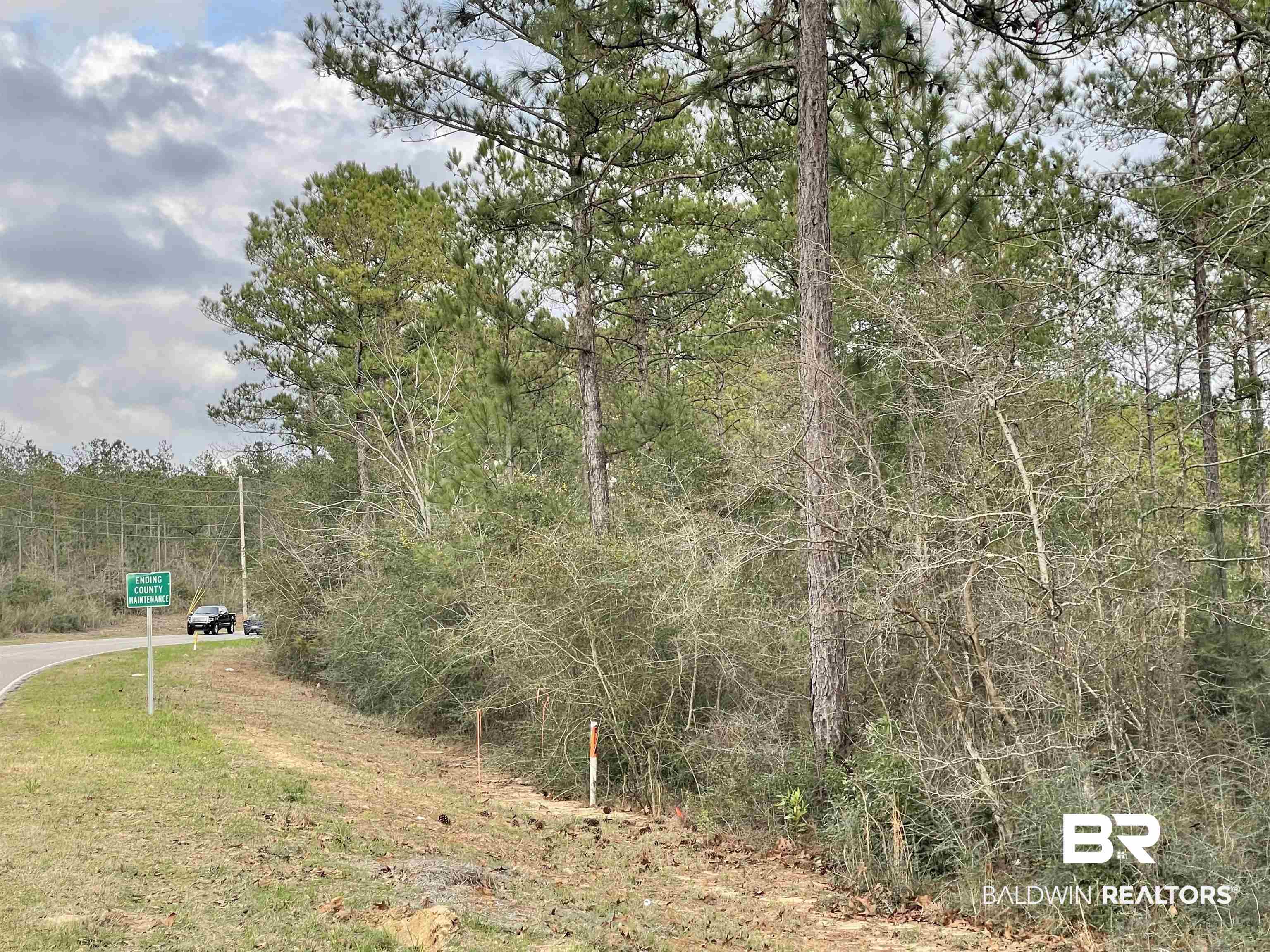 0 Bromley Road Daphne, AL 36527 - Photo 3 of 16