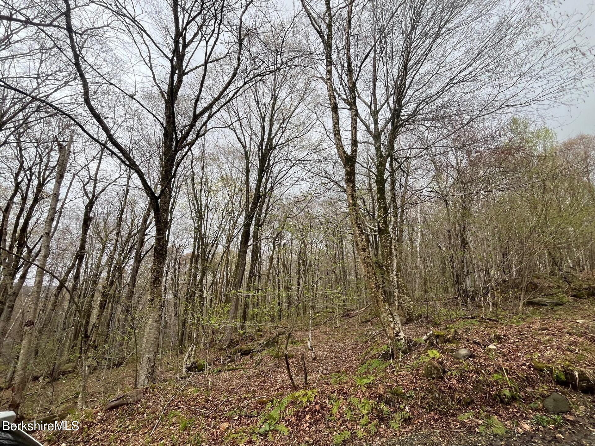 0 Manley Phelps Road Monroe, MA 01350 - Photo 11 of 12 a backyard of a house with lots of trees