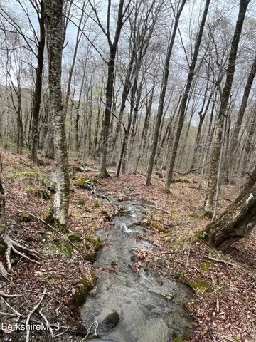 $75,000 | 0 Manley Phelps Road, Monroe, MA 01350