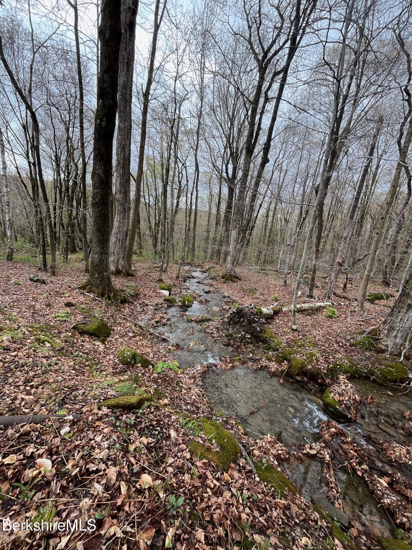 0 Manley Phelps Road Monroe, MA 01350 - Photo 3 of 12 a view of backyard with green space
