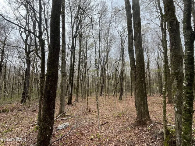 a view of backyard with white house