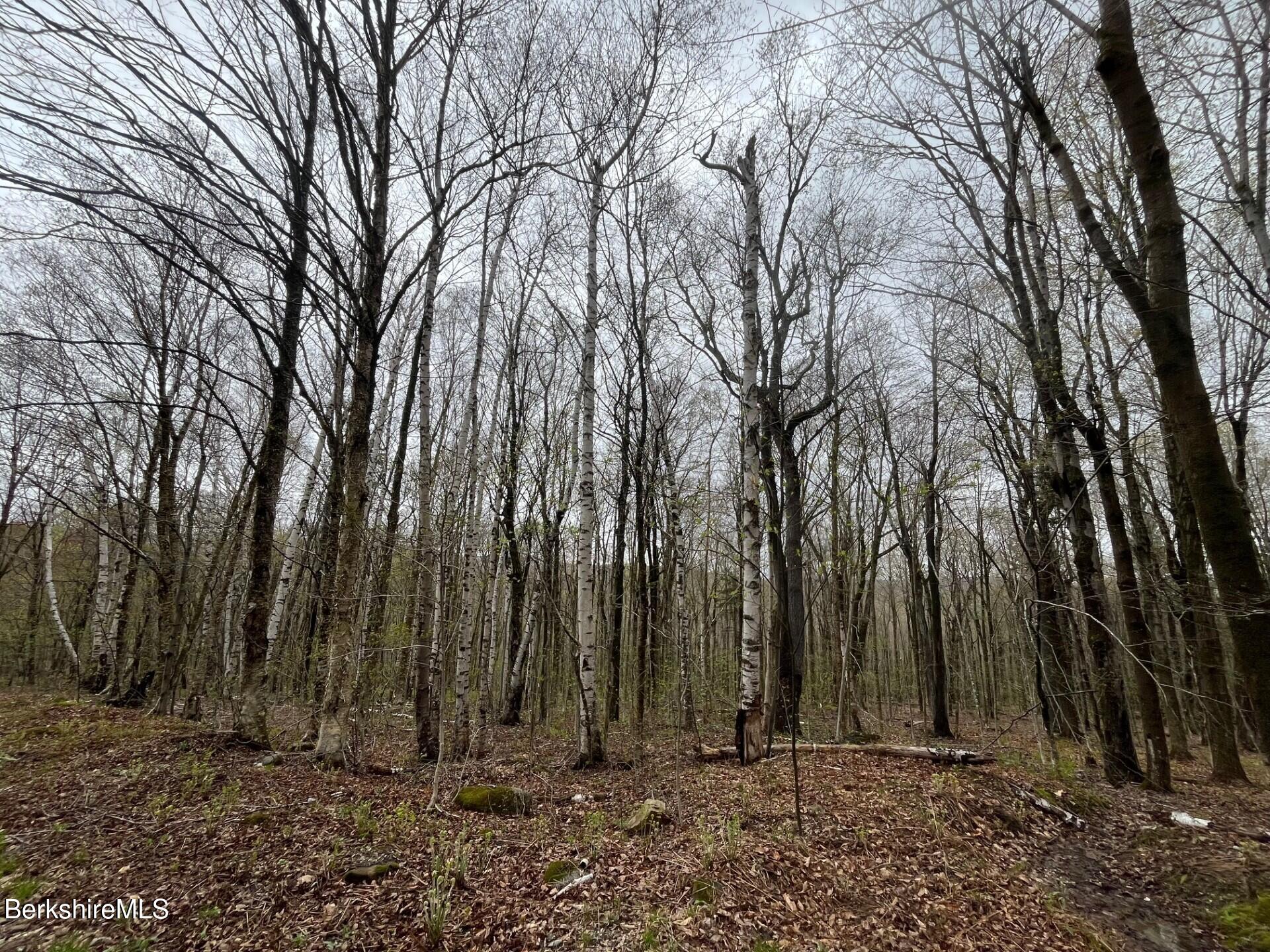 0 Manley Phelps Road Monroe, MA 01350 - Photo 5 of 12 a view of backyard with white house