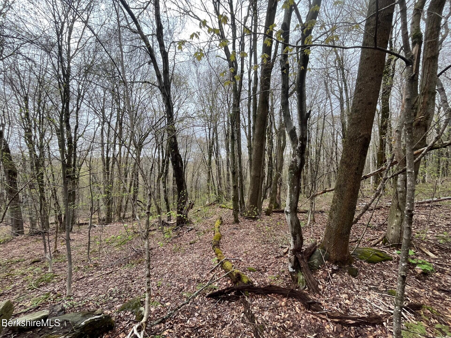 0 Manley Phelps Road Monroe, MA 01350 - Photo 7 of 12 a backyard of a house with lots of green space