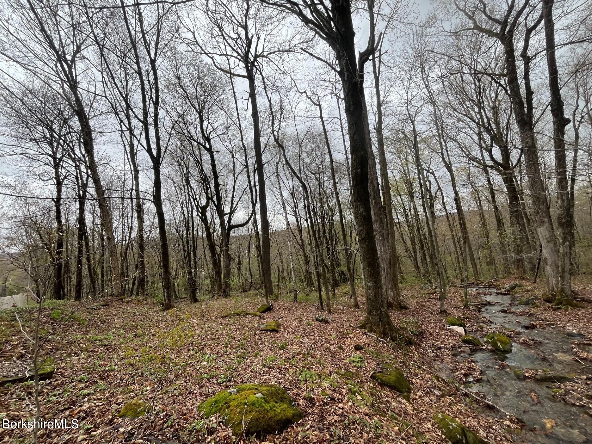 0 Manley Phelps Road Monroe, MA 01350 - Photo 10 of 12 a view of outdoor space with lots of trees