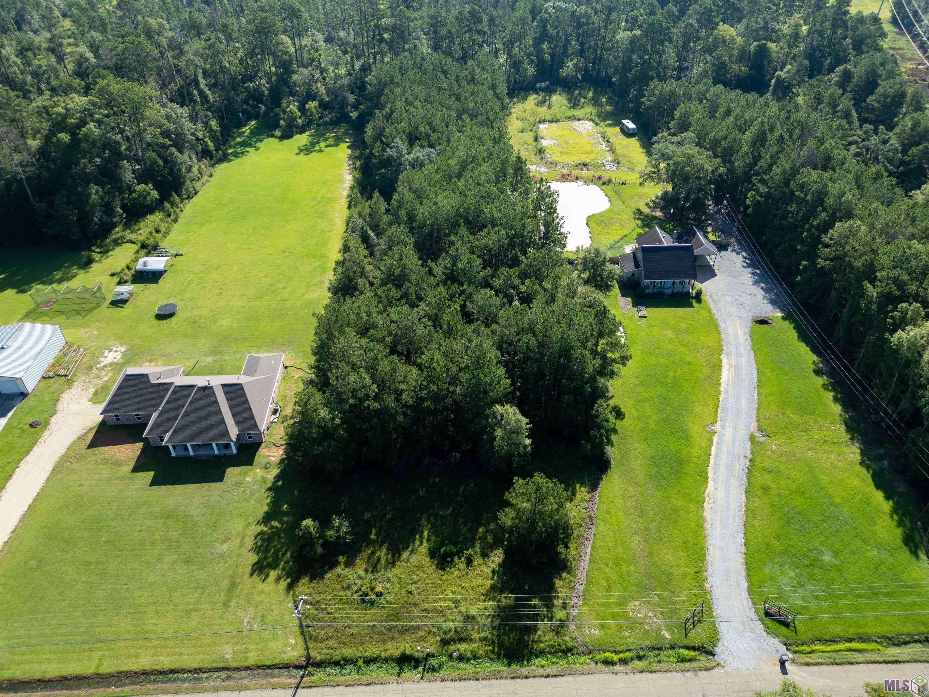 Lot 12 Pea Ridge Road Albany, LA 70711 - Photo 1 of 6