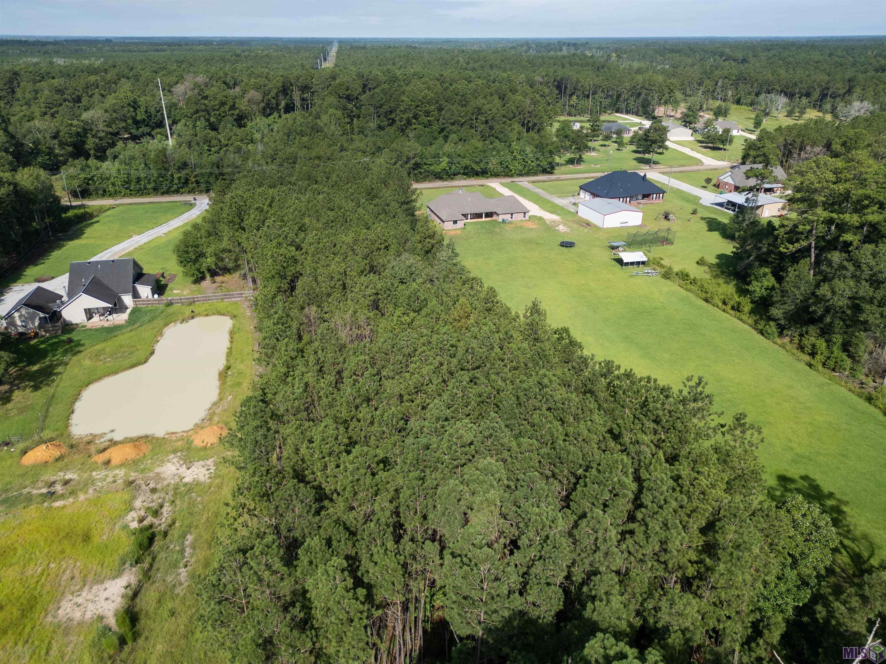 Lot 12 Pea Ridge Road Albany, LA 70711 - Photo 2 of 6
