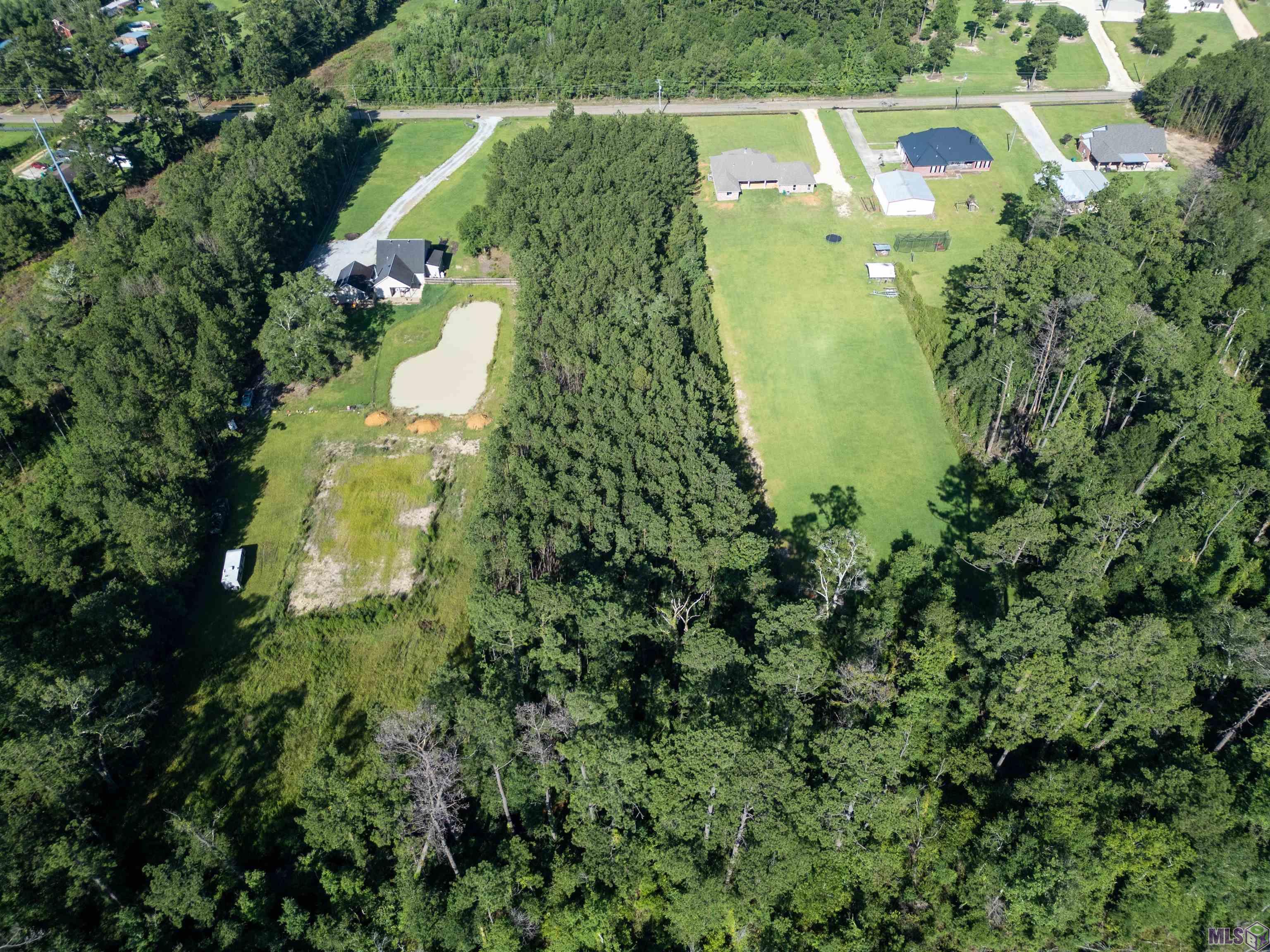 Lot 12 Pea Ridge Road Albany, LA 70711 - Photo 3 of 6