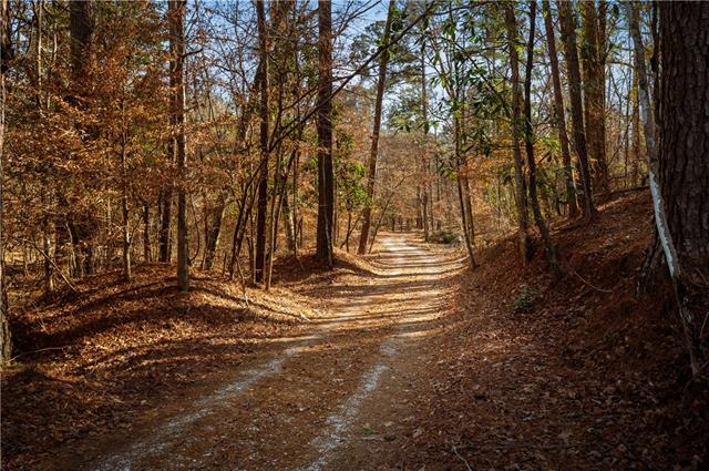 2941 Highway 8 Pollock, LA 71467 - Photo 3 of 60