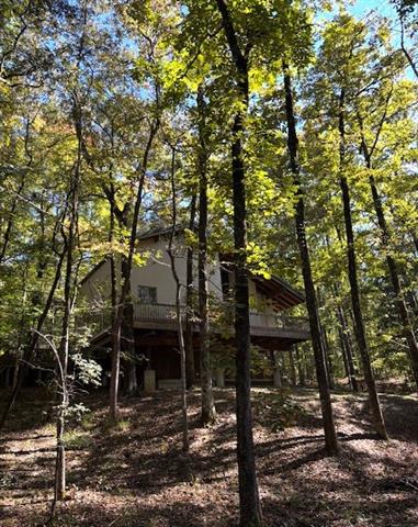 2941 Highway 8 Pollock, LA 71467 - Photo 9 of 60