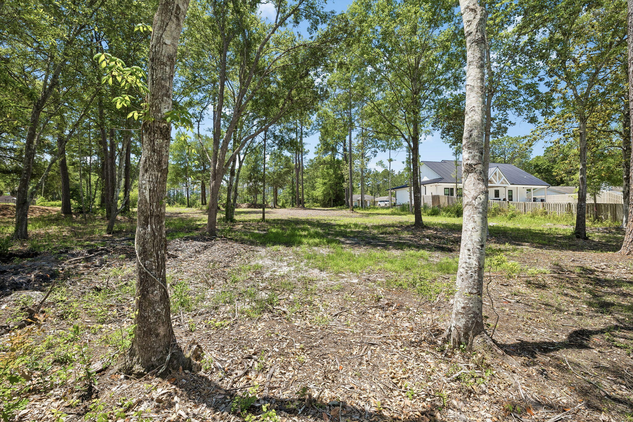 92 Waterside Lane Freeport, FL 32439 - Photo 23 of 28 a view of a trees in a park