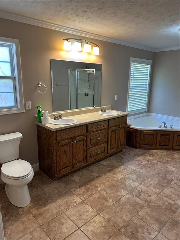 2683 Greer Road Hillsboro, GA 31038 - Photo 13 of 18 a spacious bathroom with a sink toilet and mirror