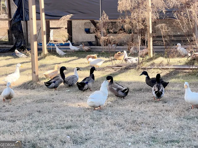 a view of a yard with a house